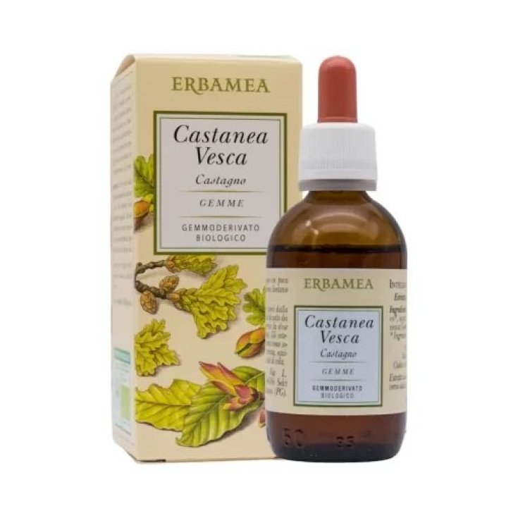 CASTANEA VESCA GEMMES GD BIO