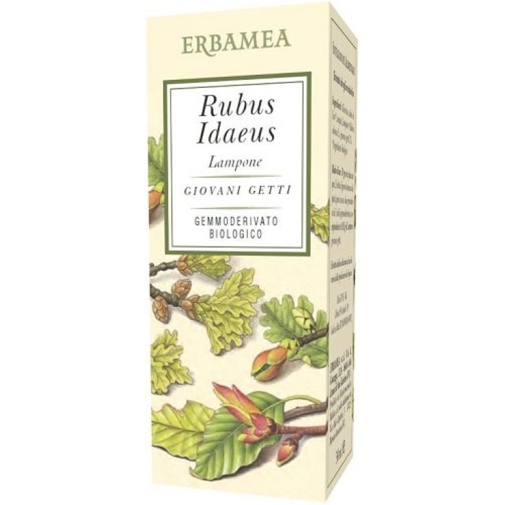 RUBUS IDAEUS FRAMBOISE BIO 50ML