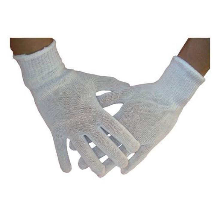 GANTS COTON N/STER 6,5