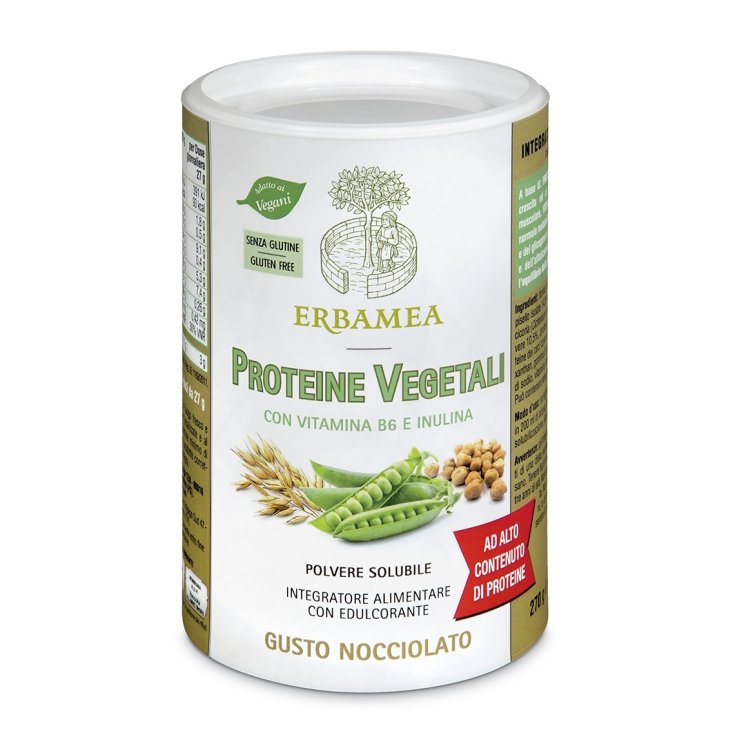 PROTÉINE VÉGÉTALE 270G