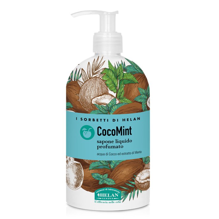 SORBETS COCOMINT SAP 500ML