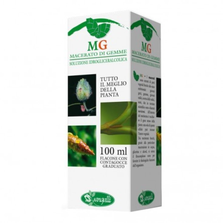 GENÉVRIER 100ML MG