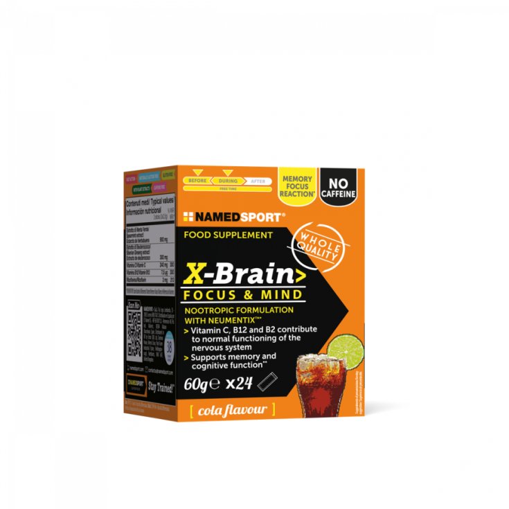 XBRAIN 24STICK