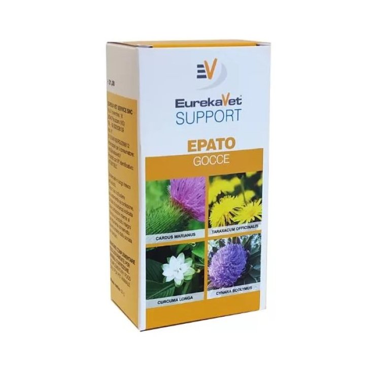 HEPATO GOUTTES 50ML