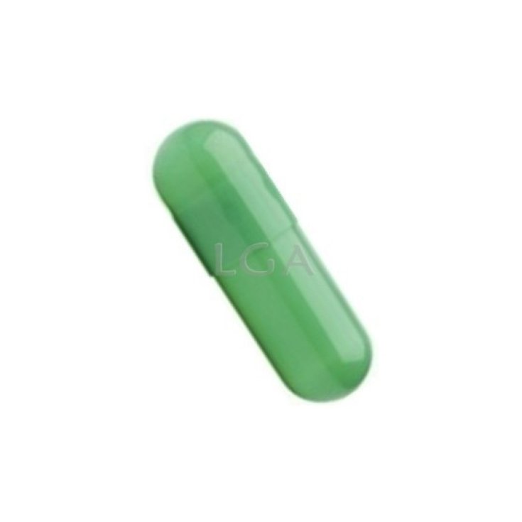 CAPSULES 00 VERT TRANSPARENT 1000PCS