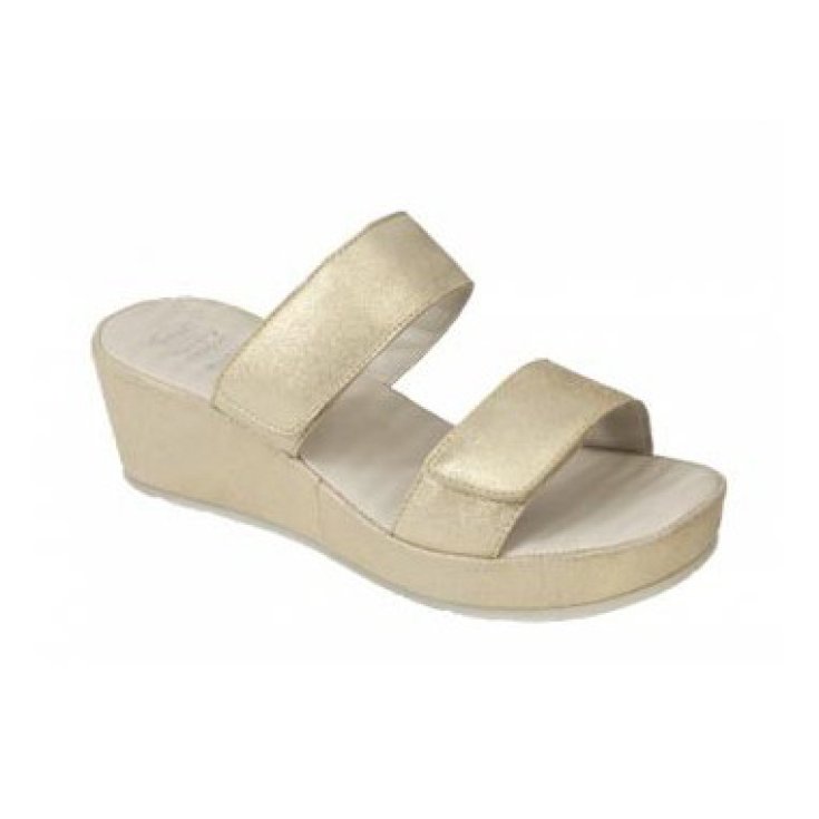 CORA DAIM W PLAT 40
