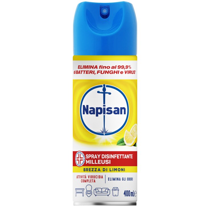 NAPISAN SPRAY MILLEUSI BRISÉE