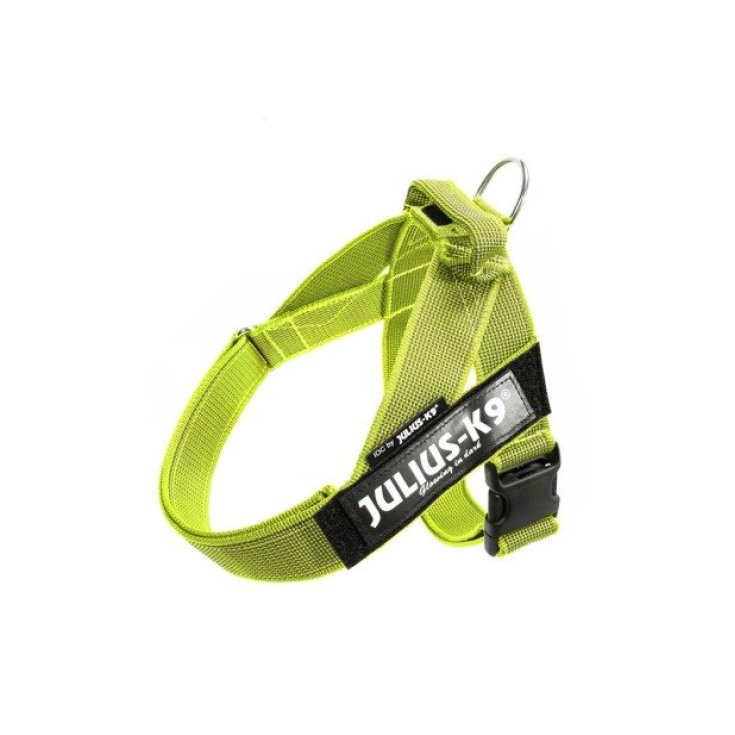 HARNAIS DE CEINTURE JULIUS K9 JAUNE 0