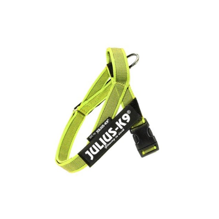 HARNAIS DE CEINTURE JULIUS K9 JAUNE M