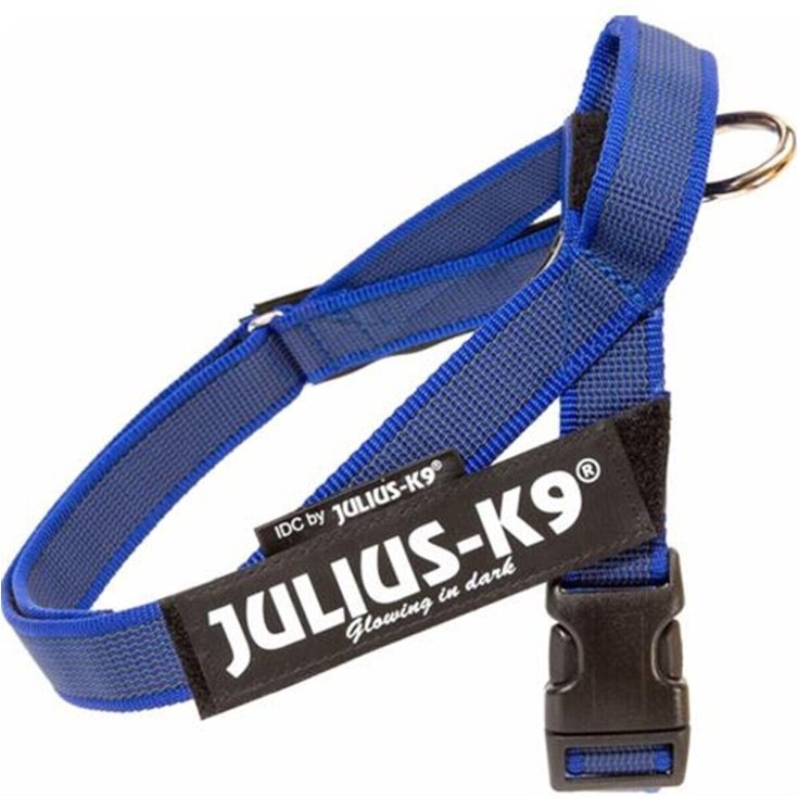 HARNAIS JULIUS K9 BELTHARNESS MINI BLEU