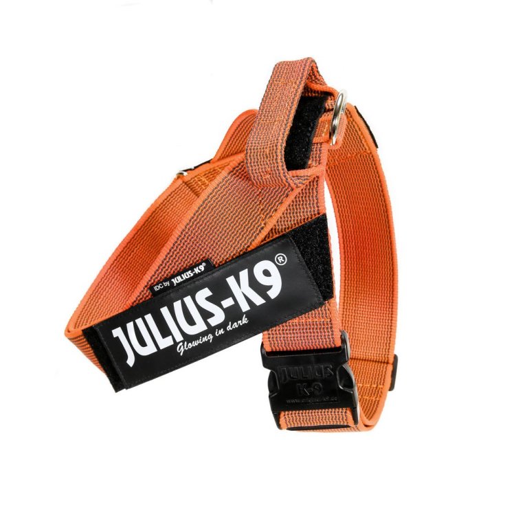 HARNAIS JULIUS K9 CEINTURE ORANGE