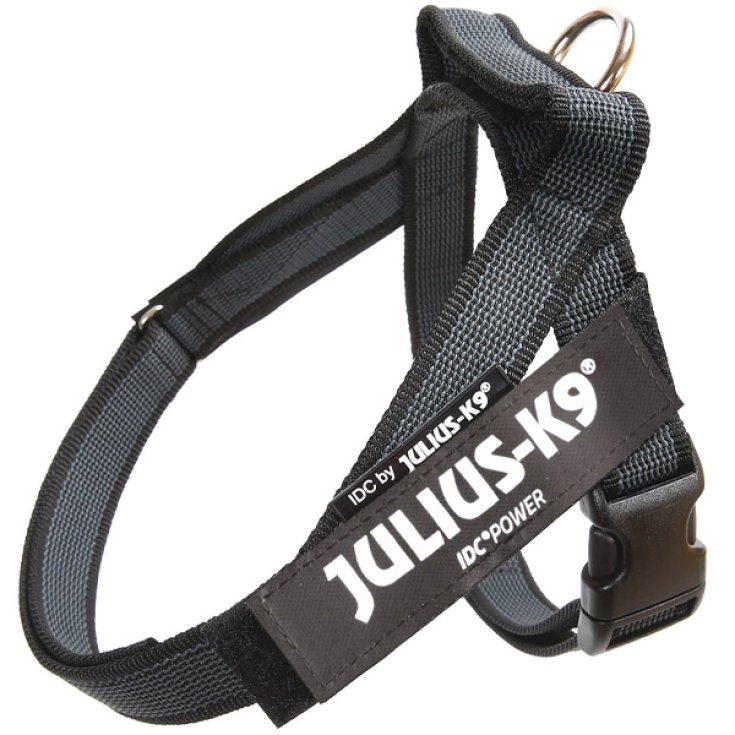 HARNAIS DE CEINTURE Julius K9 NOIR 0 5