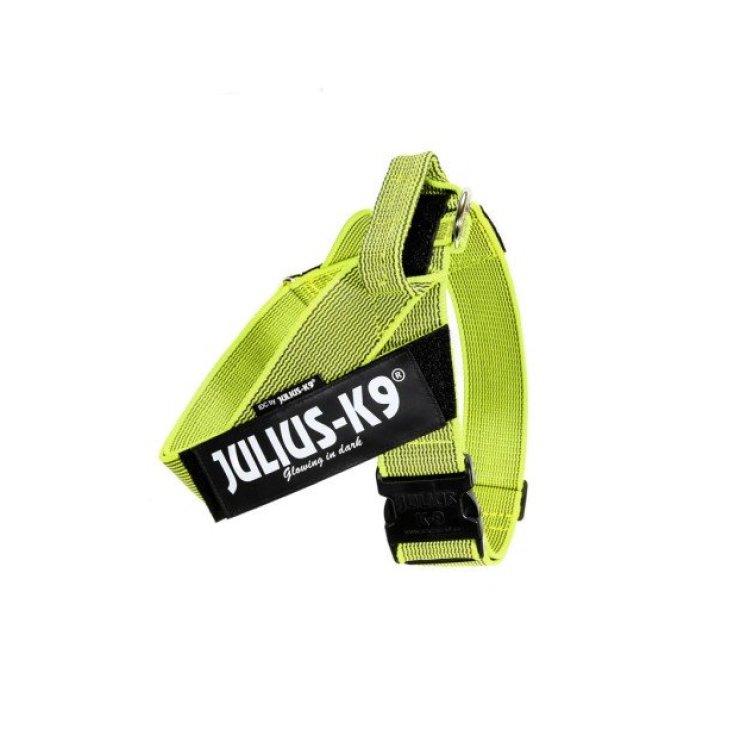 HARNAIS DE CEINTURE JULIUS K9 JAUNE 3