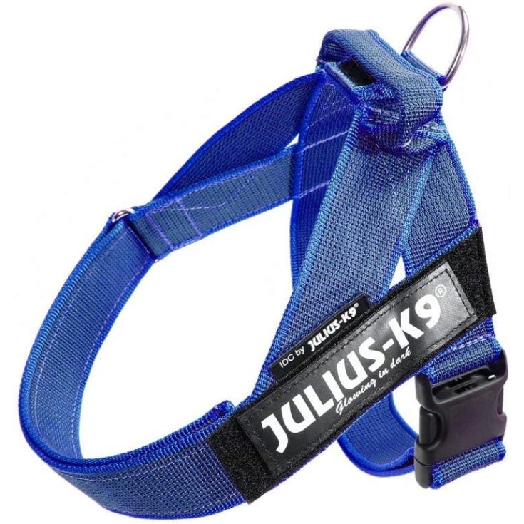 HARNAIS DE CEINTURE JULIUS K9 BLEU 1 61