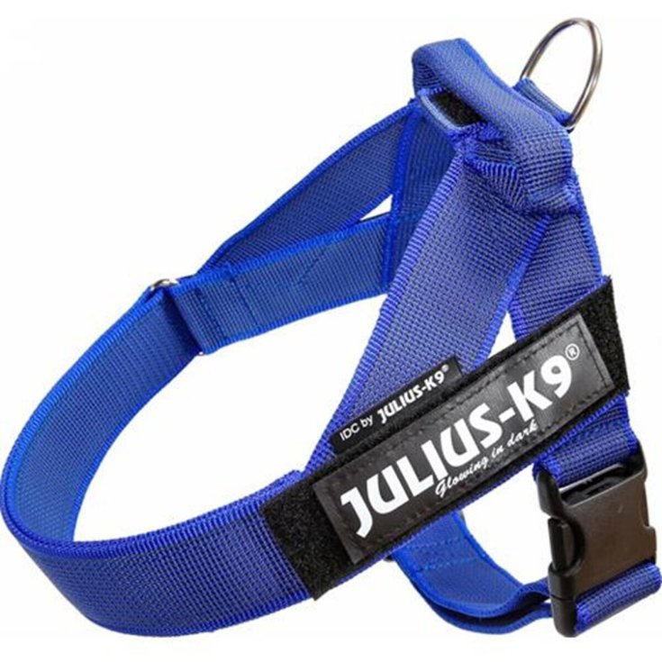 HARNAIS DE CEINTURE JULIUS K9 BLEU 84 1