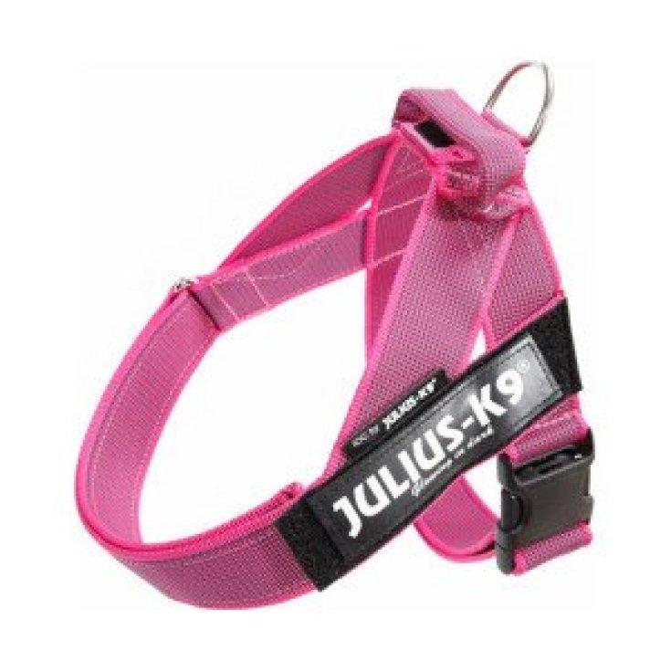 HARNAIS JULIUS K9 CEINTURE ROSE 1 6