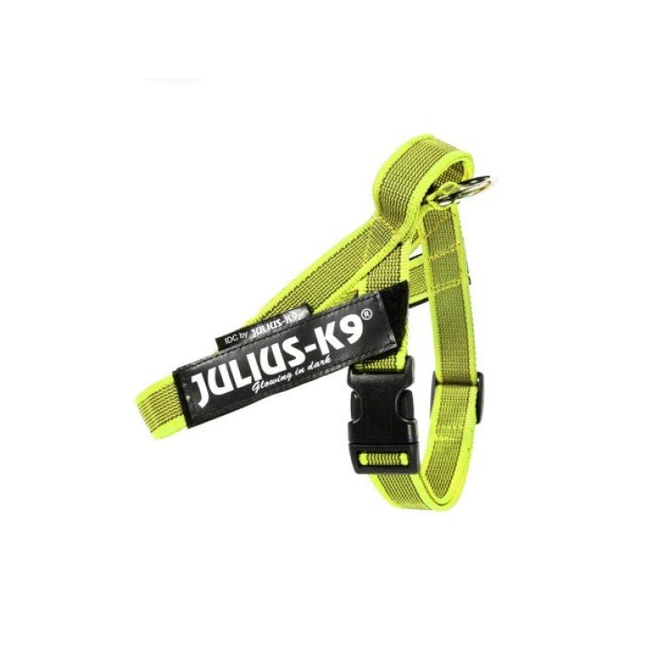 HARNAIS DE CEINTURE JULIUS K9 JAUNE M