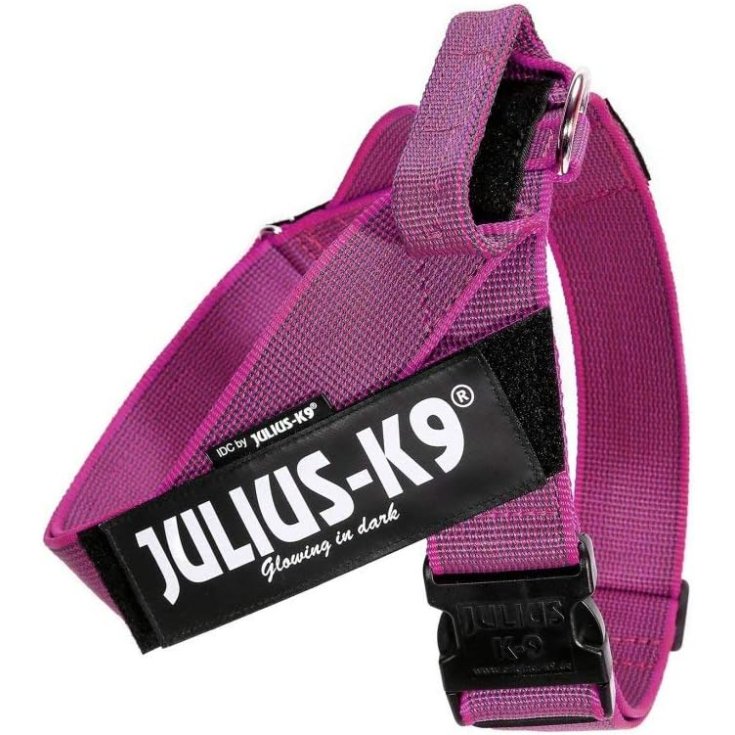 HARNAIS JULIUS K9 CEINTURE ROSE 3 8