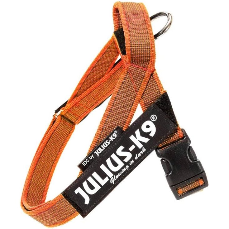 HARNAIS JULIUS K9 CEINTURE ORANGE