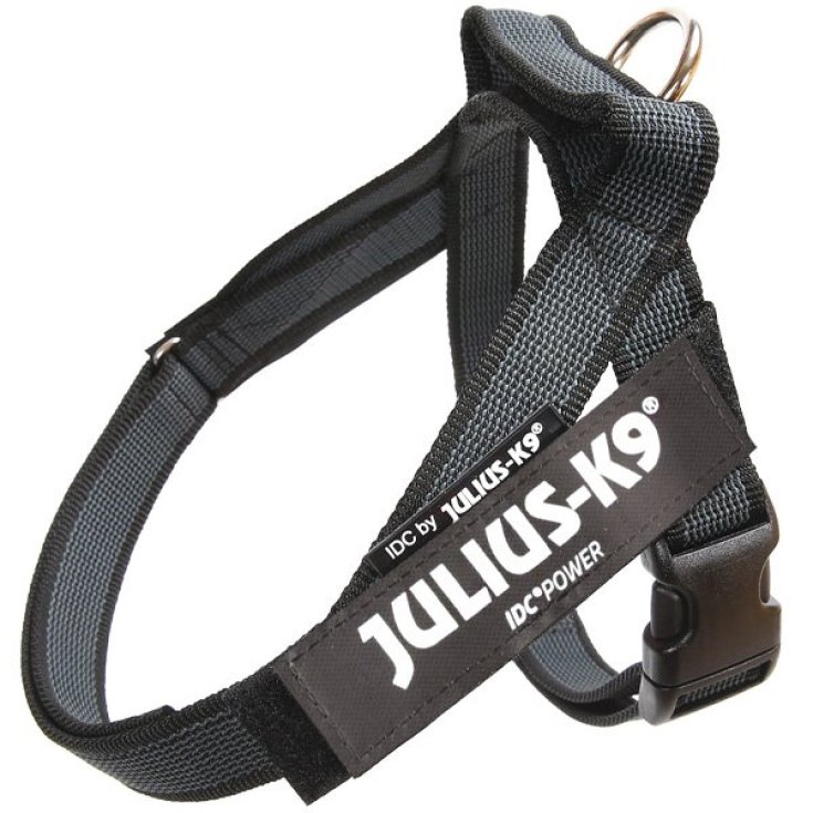 HARNAIS DE CEINTURE JULIUS K9 NOIR 3 8