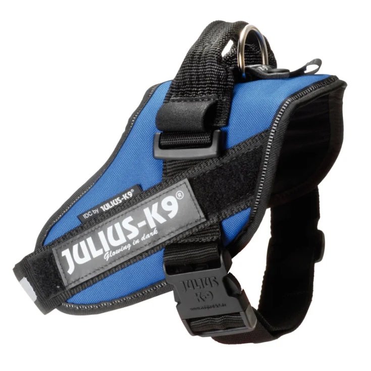 HARNAIS JULIUS K9 POWERHARNESS BLEU 1 6