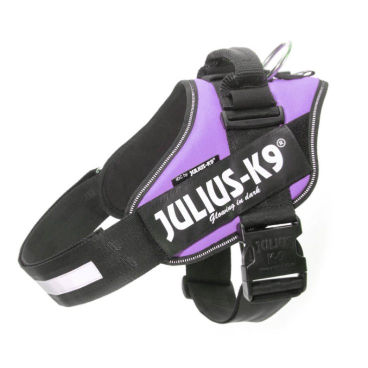 HARNAIS PUISSANT JULIUS-K9 HARNAIS VIOLET 0