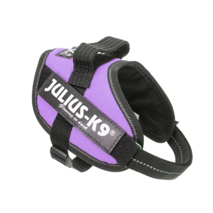 HARNAIS JULIUS K9 POWER HARNAIS VIOLET M