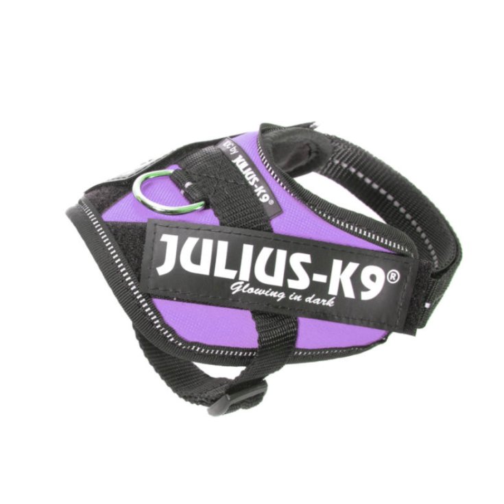JULIUS-K9 POWERHARNESS HARNAIS VIOLET B