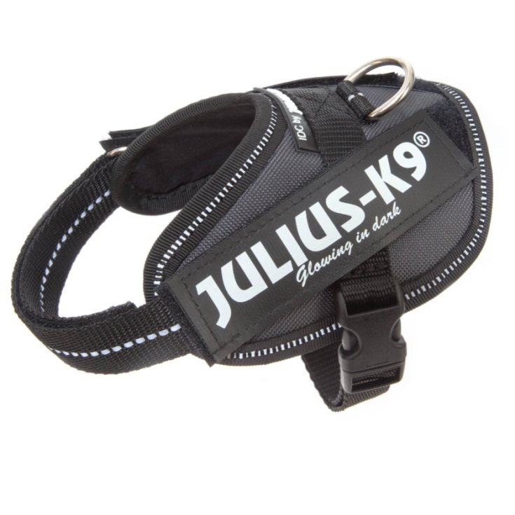 JULIUS K9 IDC POWERHARNESS HARNAIS GRI