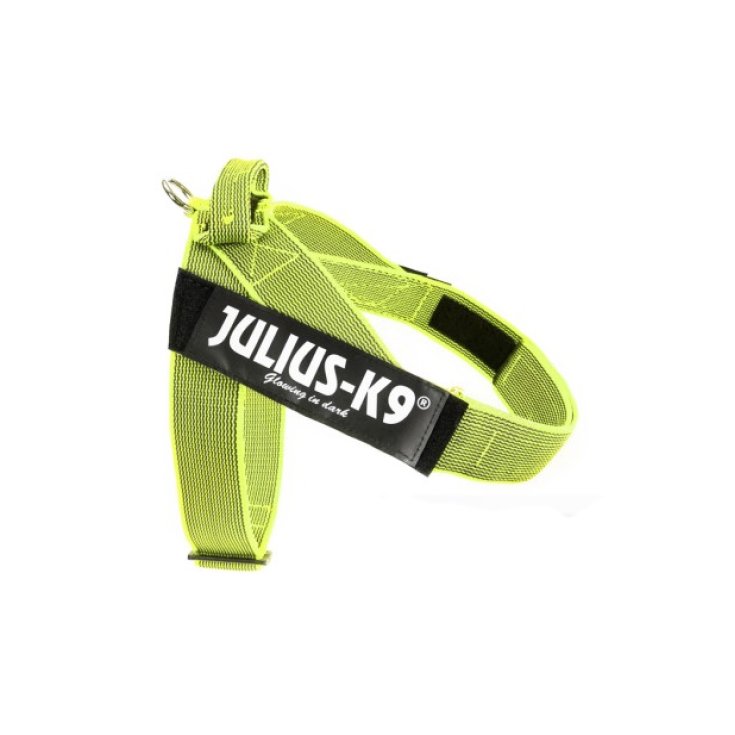 HARNAIS DE CEINTURE JULIUS K9 JAUNE 2