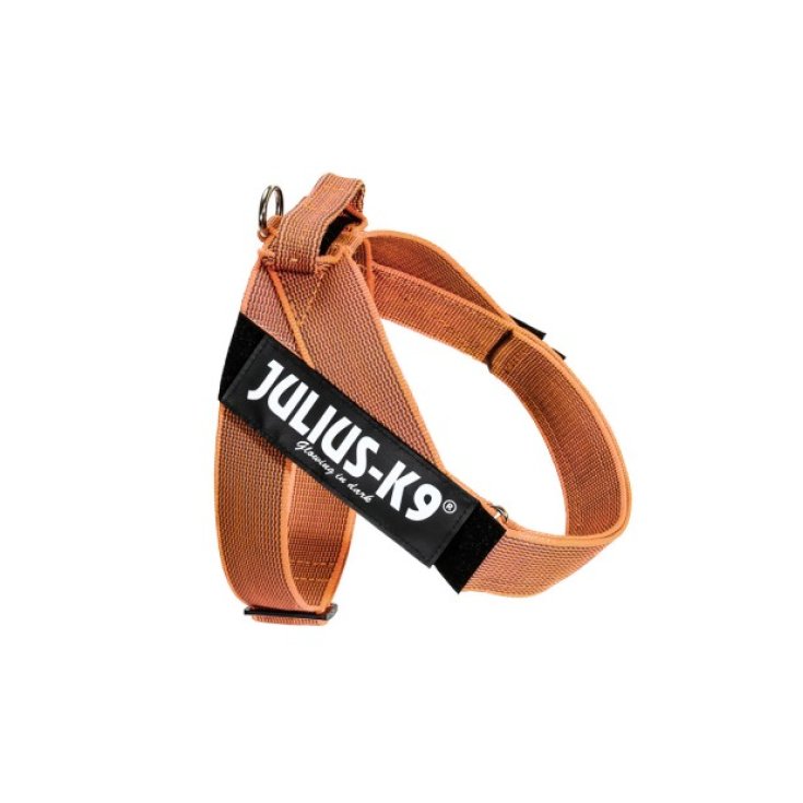 HARNAIS JULIUS K9 CEINTURE ORANGE