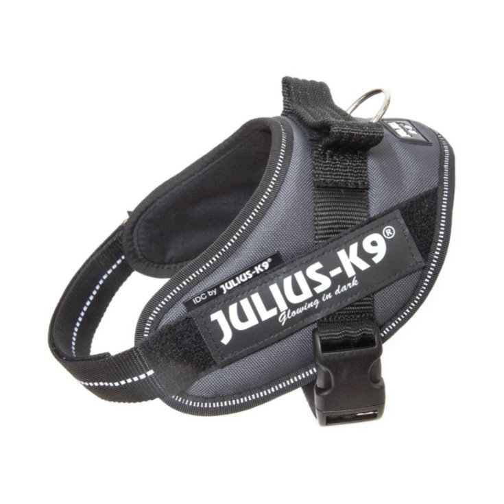 JULIUS K9 IDC POWERHARNESS HARNAIS GRI