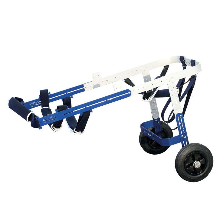 CHARIOT ORTOP TOUT-TERRAIN L
