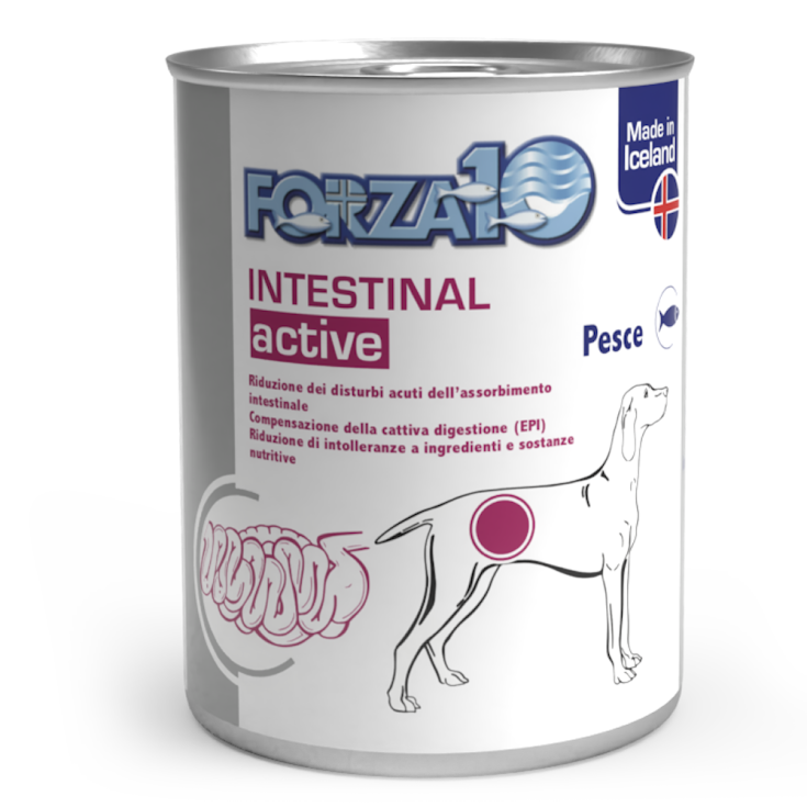 FORZA10 INTESTINAL CHIEN 390G