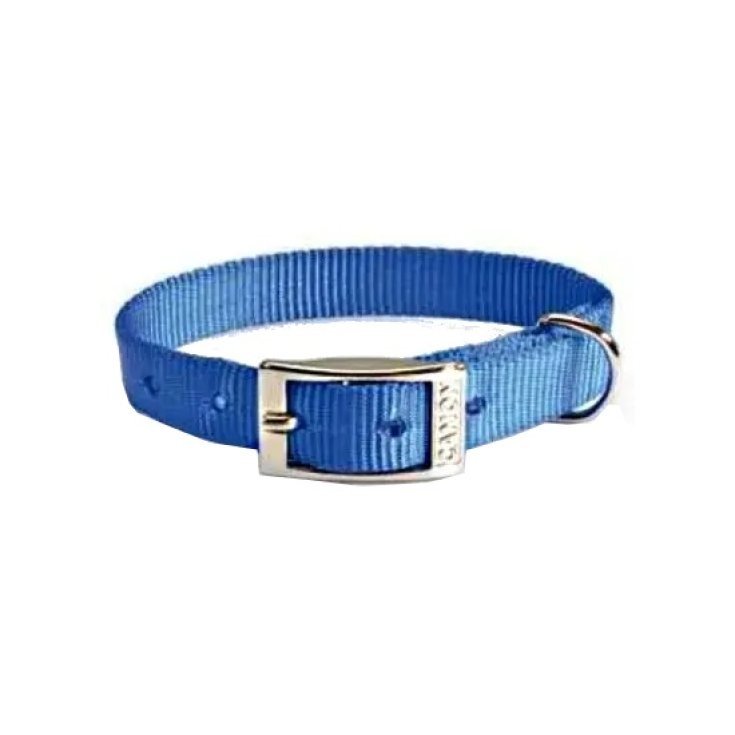 COLLIER NYLON 25X550MM BLEU