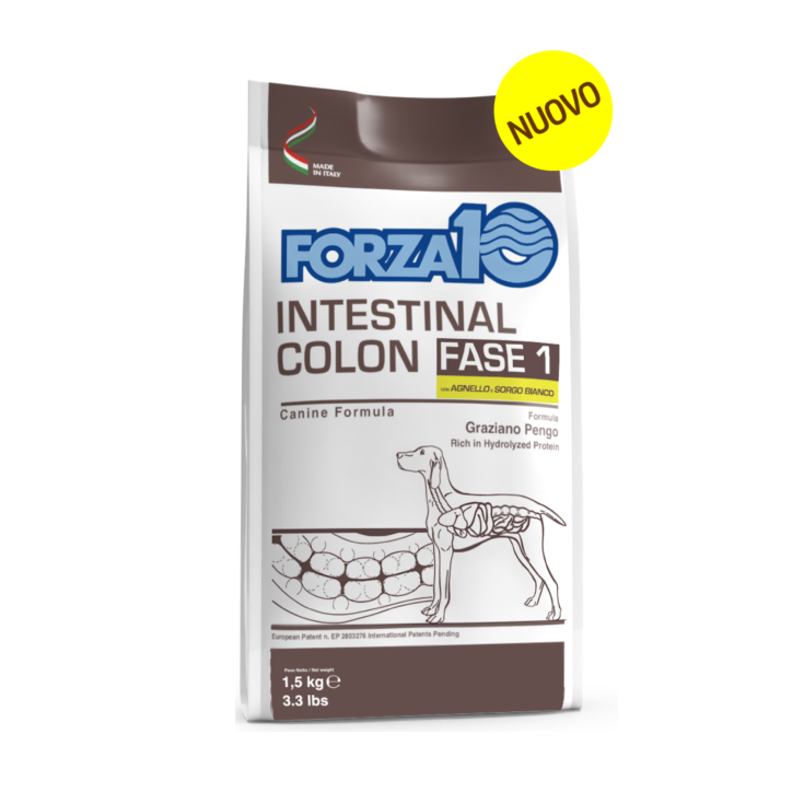 FORZA10 INTESTINAL CA/S CHIEN