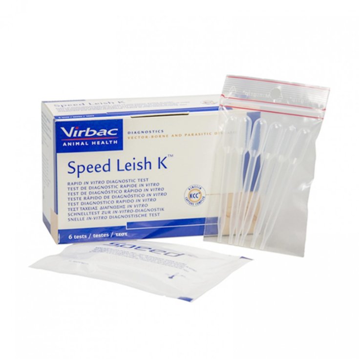 TEST DE VITESSE LEISH 6