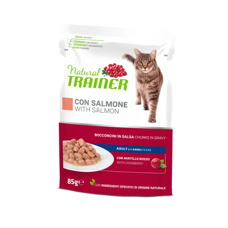 SAUMON NAT TRAINER 85G