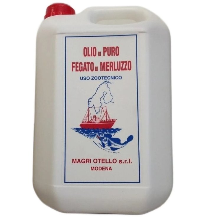 HUILE DE FOIE DE MORUE 5 KG