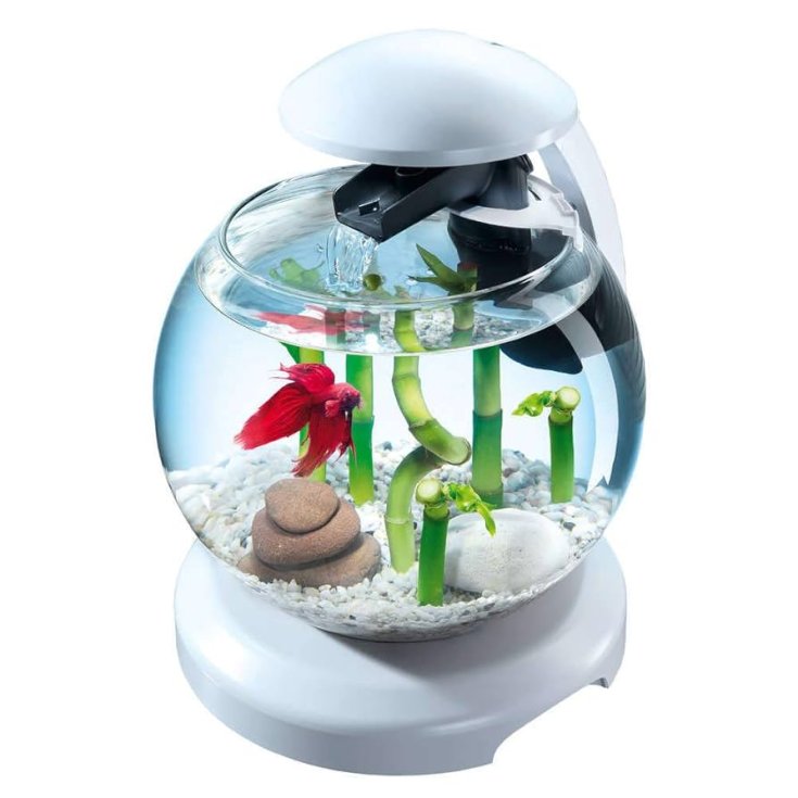 VERRE GLOBE TETRA CASCADE SEULEMENT