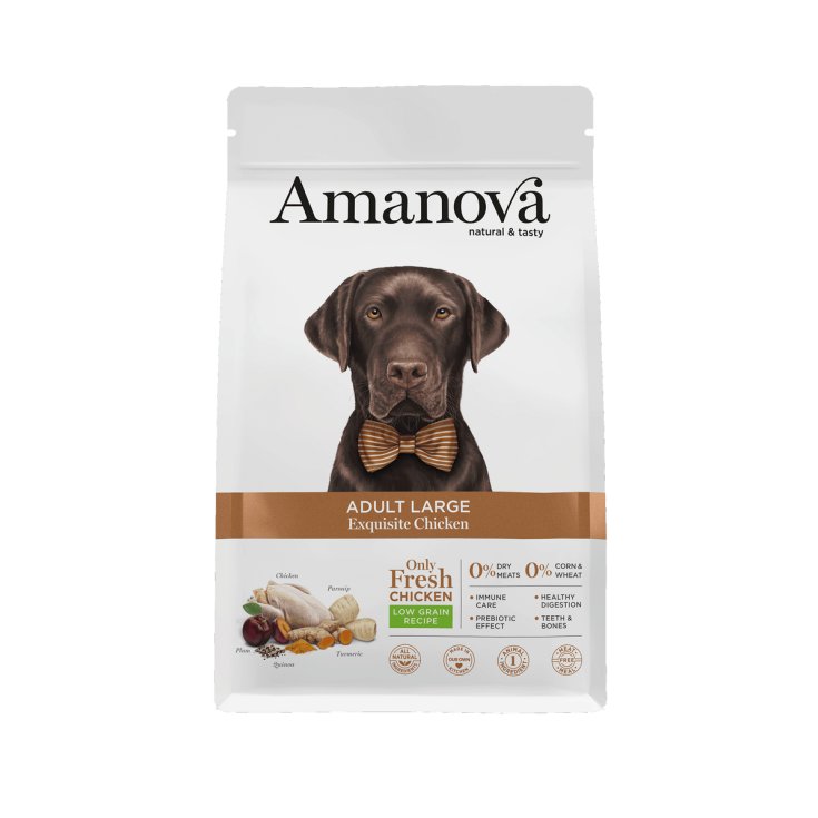 AMANOVA ADULTE GROS POULET ÉQUISITE 12