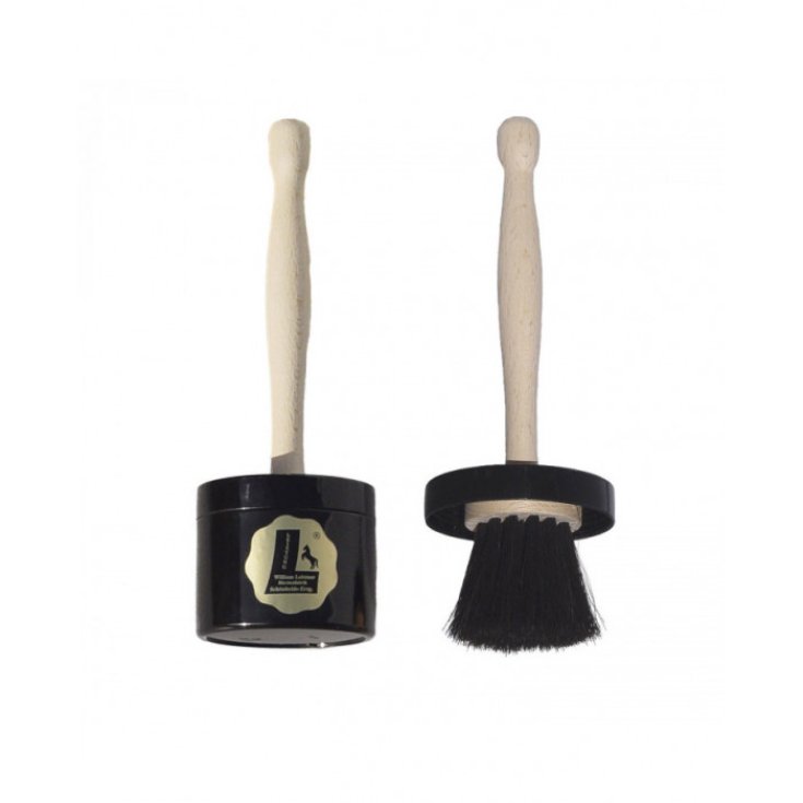 BROSSE LEISTNER BOIS UMBRIA EQ.