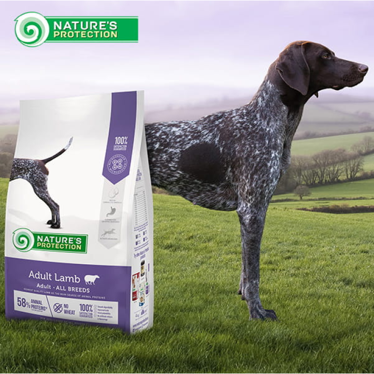 NP CHIEN ADULTE AGNEAU TOUTES RACES 12KG