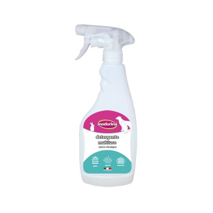 INODORINA DET SPRAY POLYVALENT 500ML