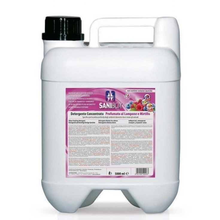 SANIBOX 5 LT FRAMBOISE BLEUET