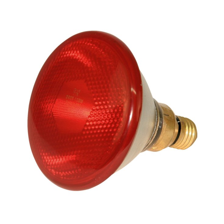 LAMPE LUMIÈRE 250 W