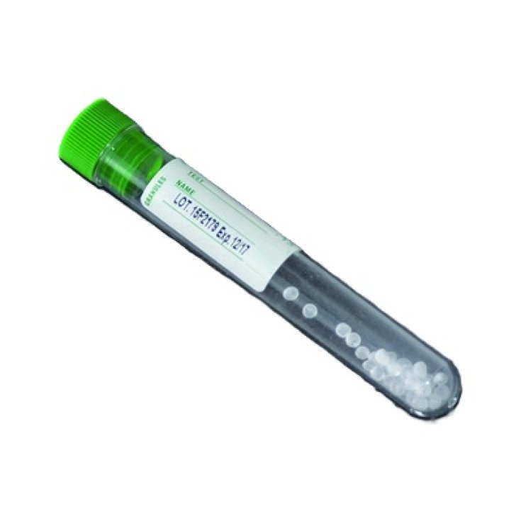 TUBE À ESSAI 5ML GRANULES SÉPARATEURS 50PCS