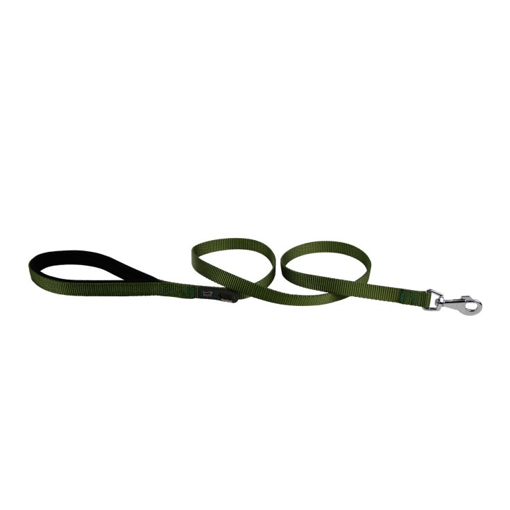 LAISSE DAYTONA G15/120 VERTE