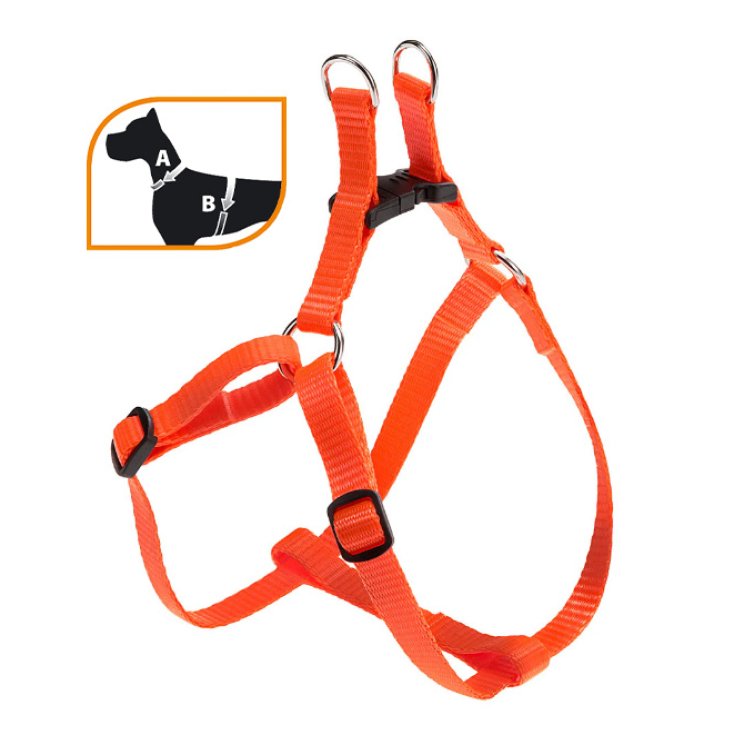EASY P EX.PETIT PEIGNE ORANGE.