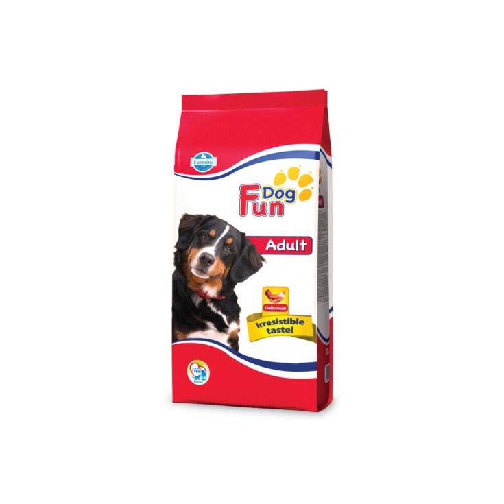 FUN CHIEN ADULTE 20 KG PN
